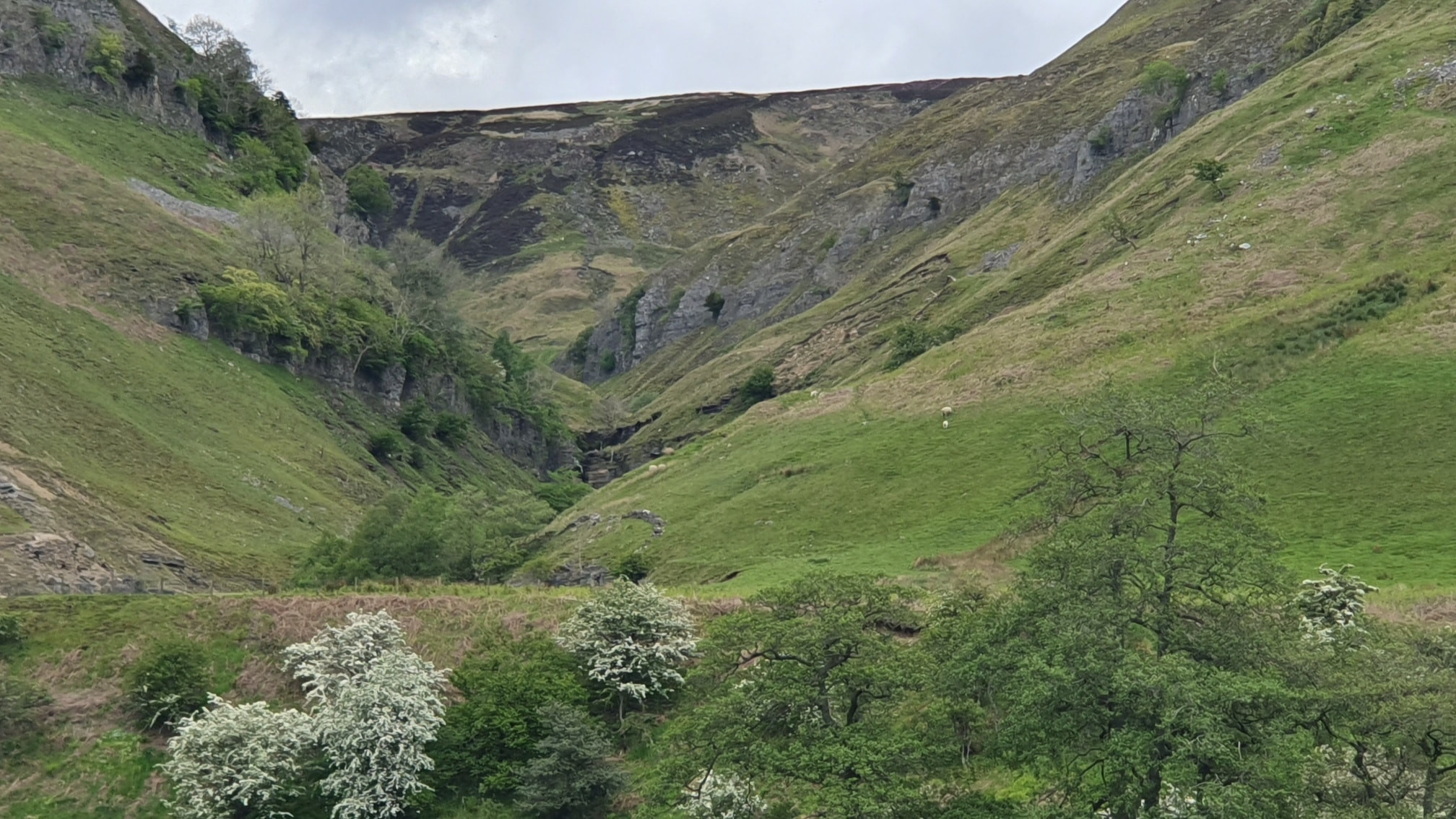 This weekends walk 7 pic 14