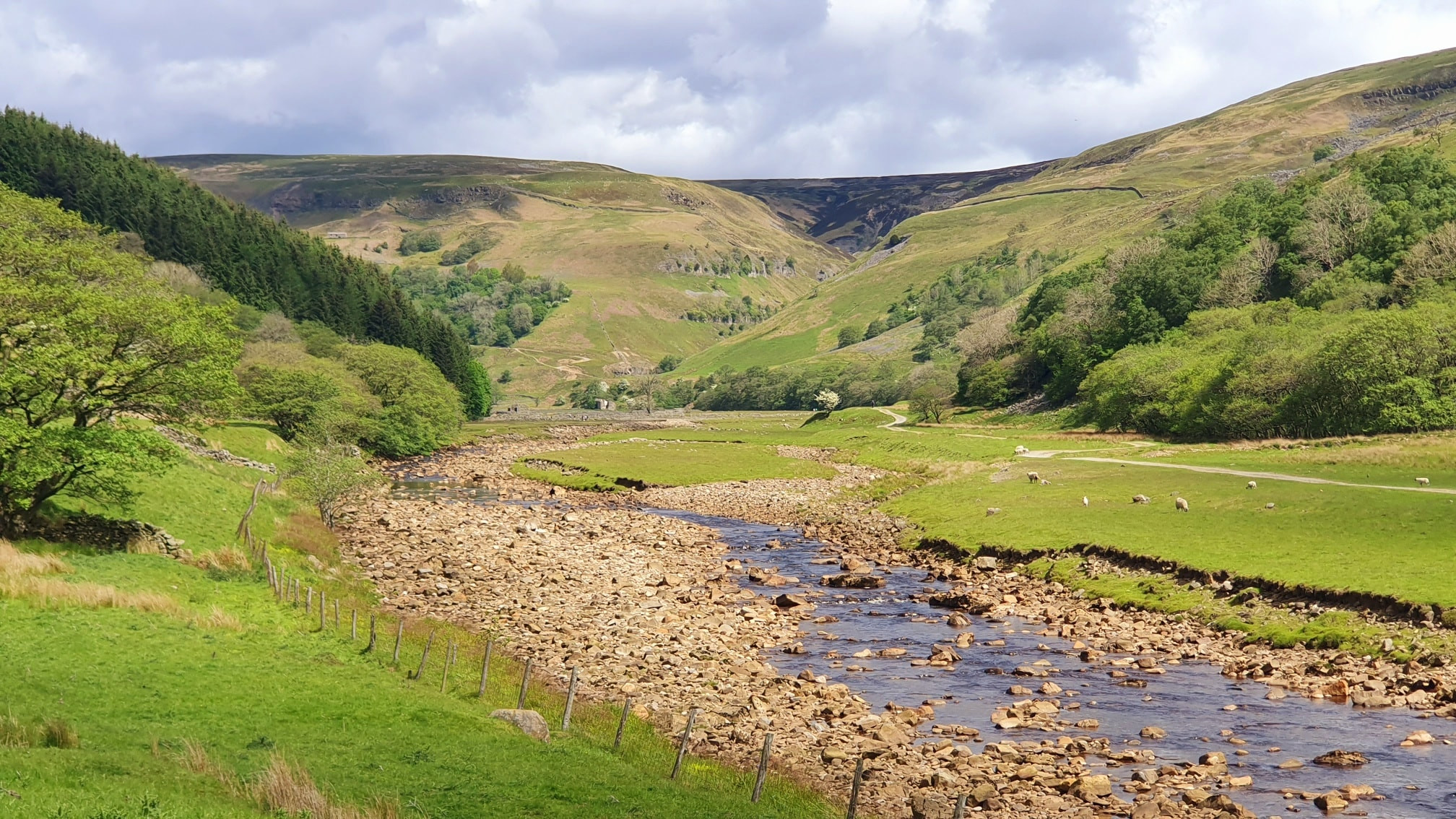 This weekends walk 7 pic 2