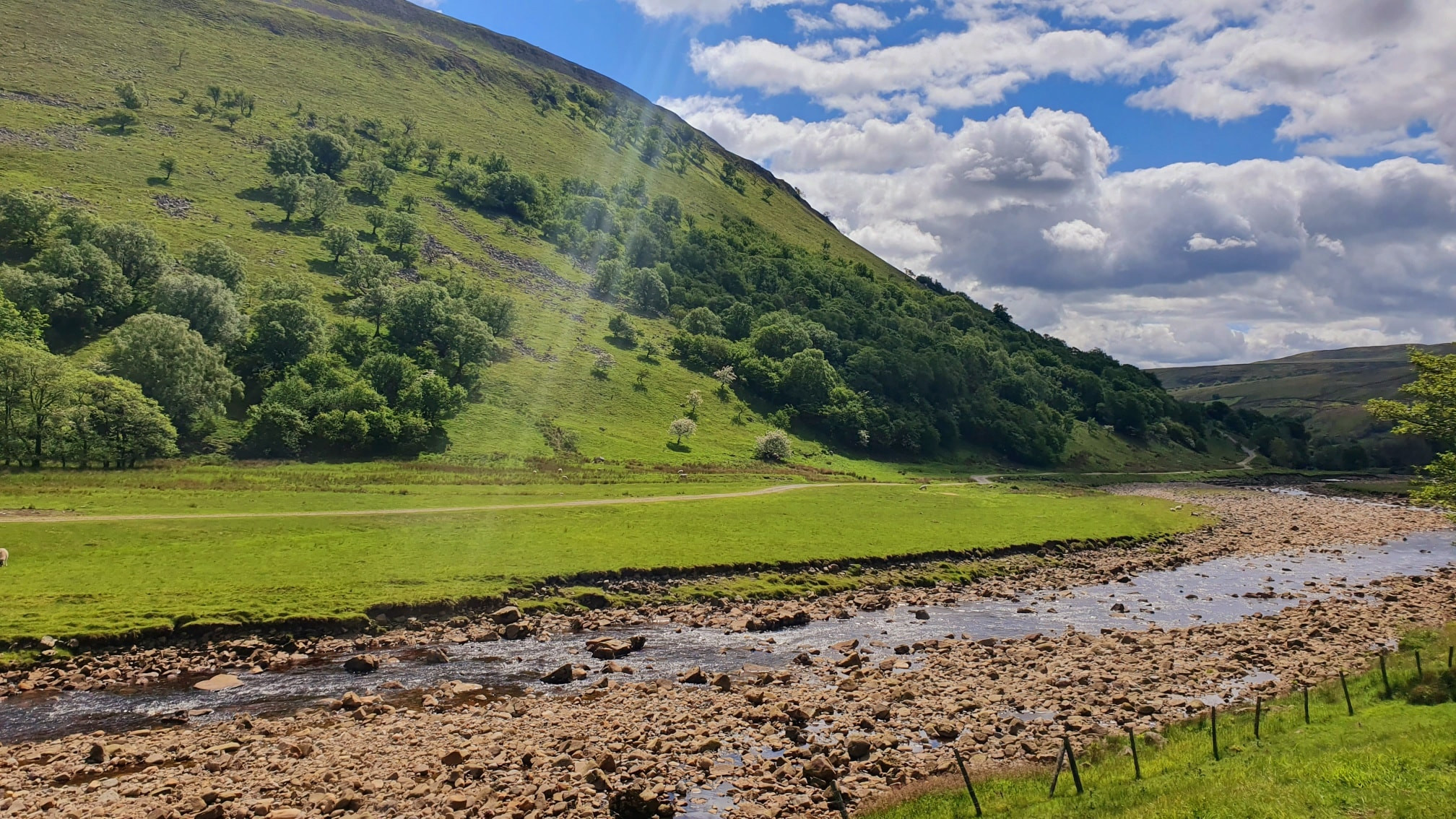 This weekends walk 7 pic 3