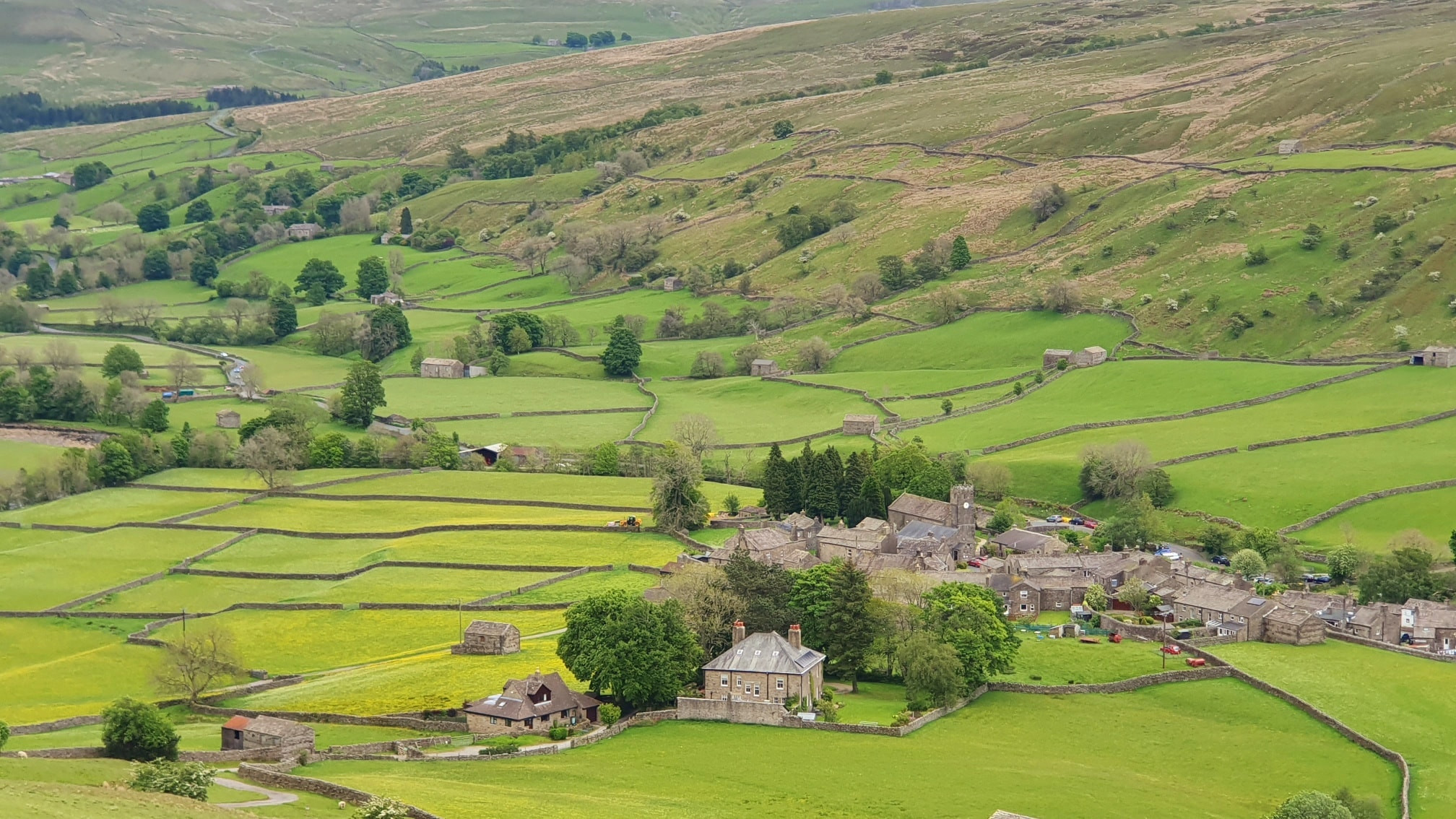 This weekends walk 7 pic 4