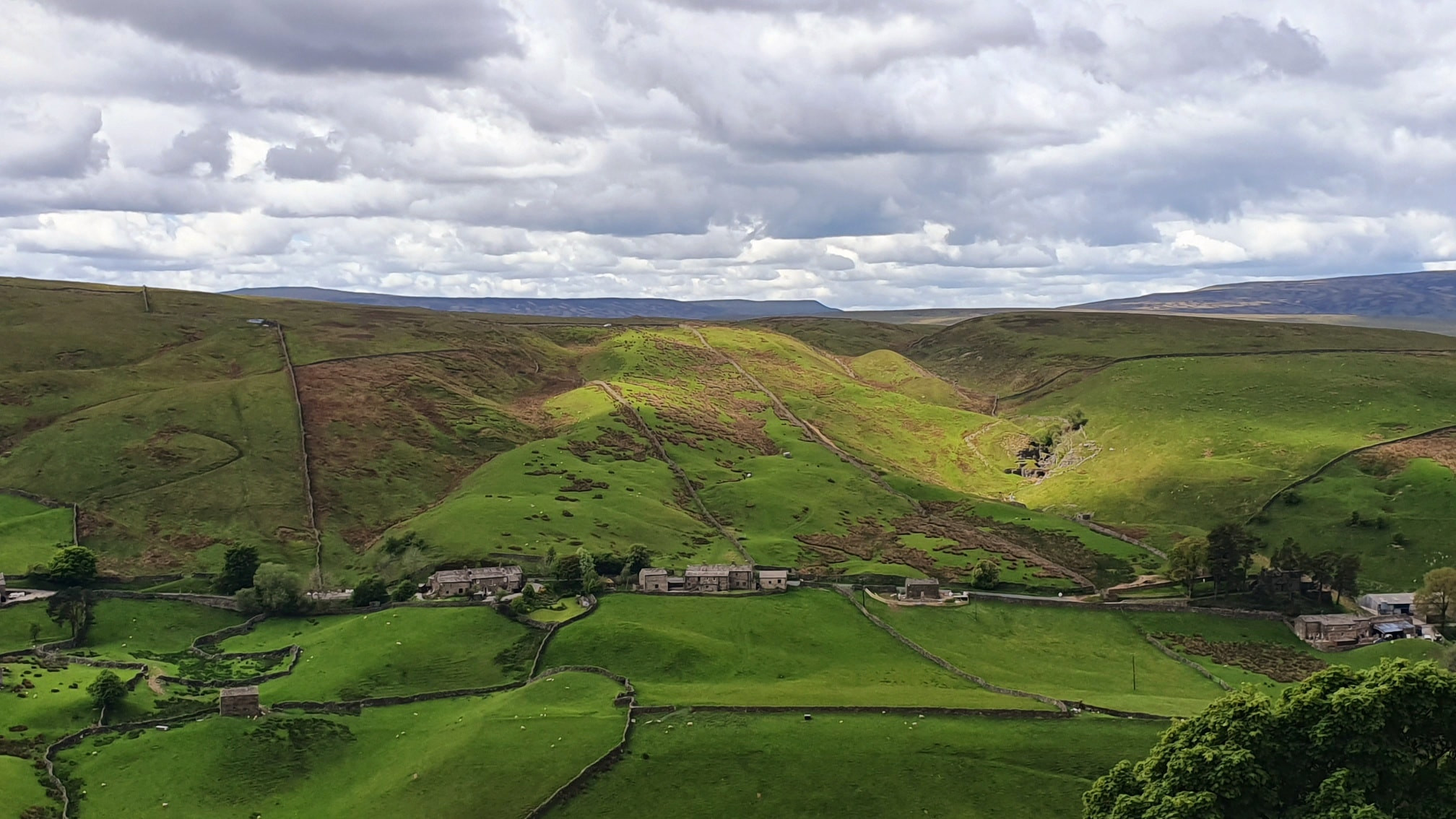 This weekends walk 7 pic 5