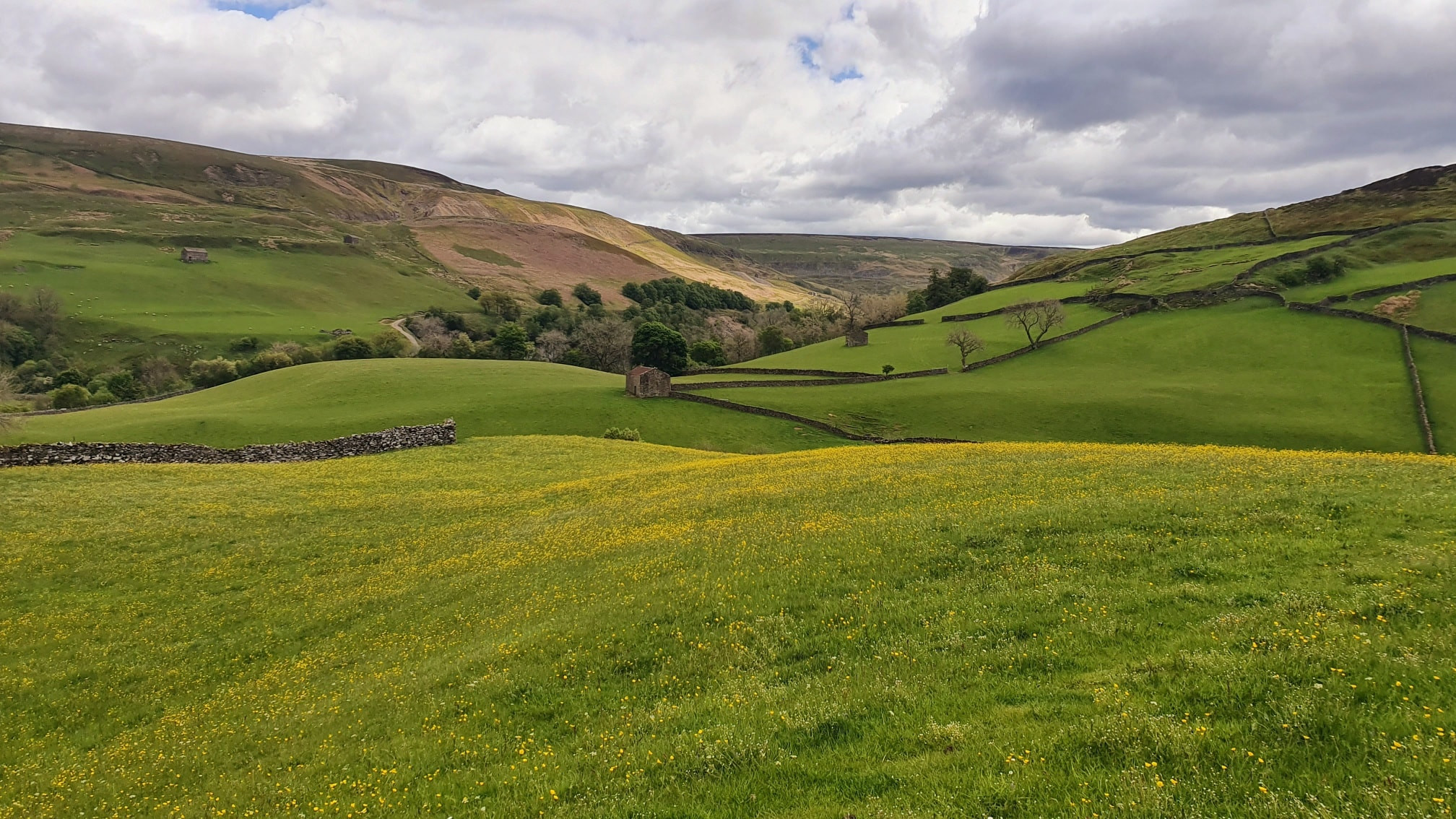 This weekends walk 7 pic 6