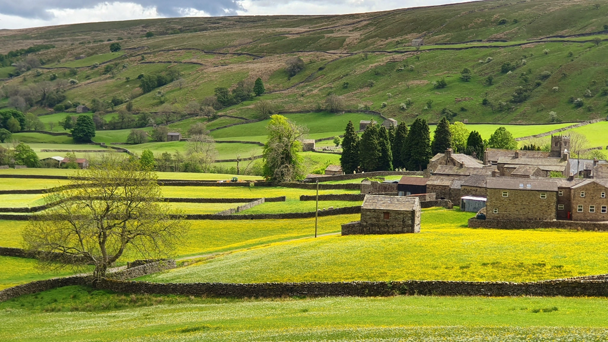 This weekends walk 7 pic 7