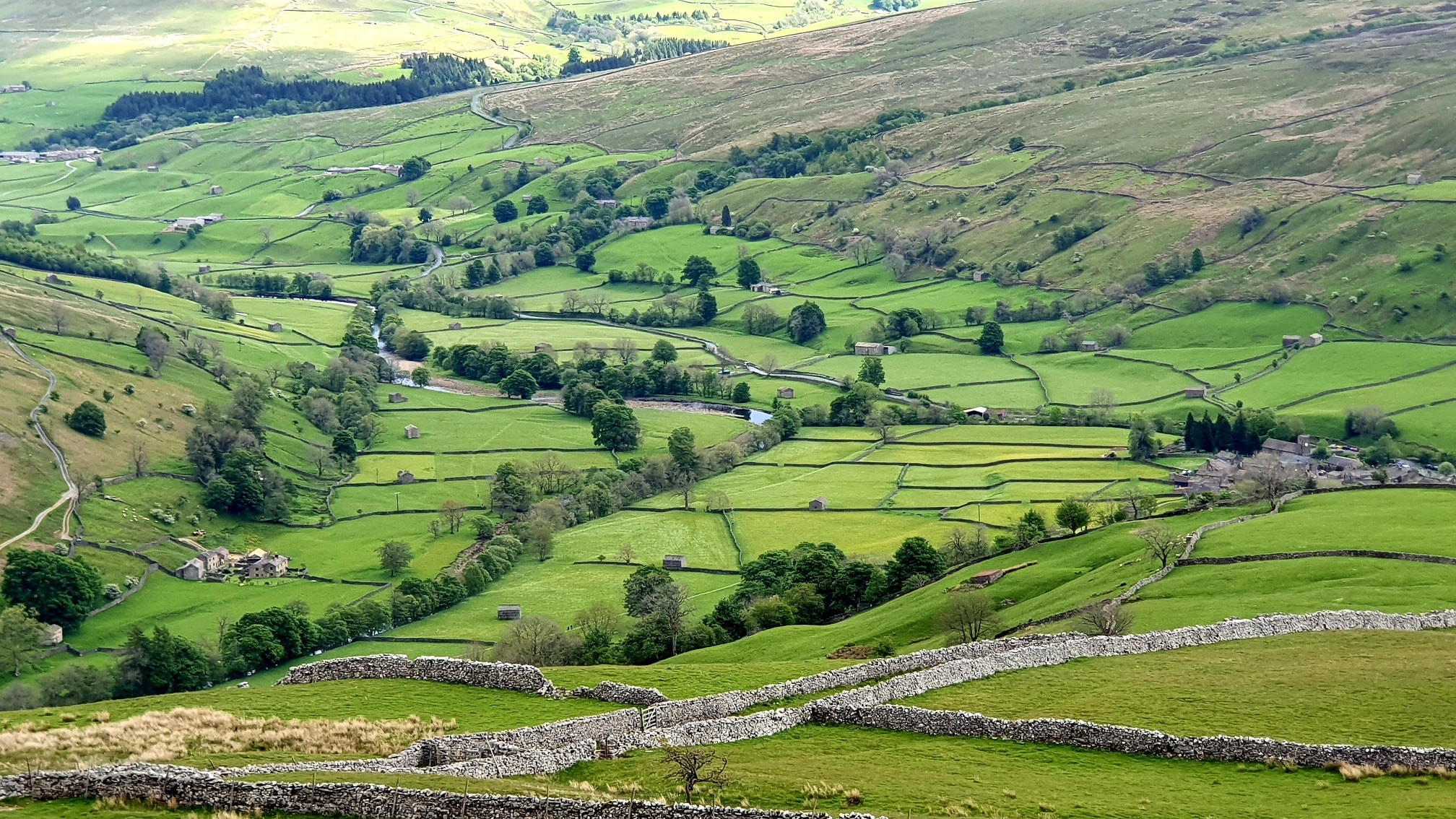 This weekends walk 7 pic 8