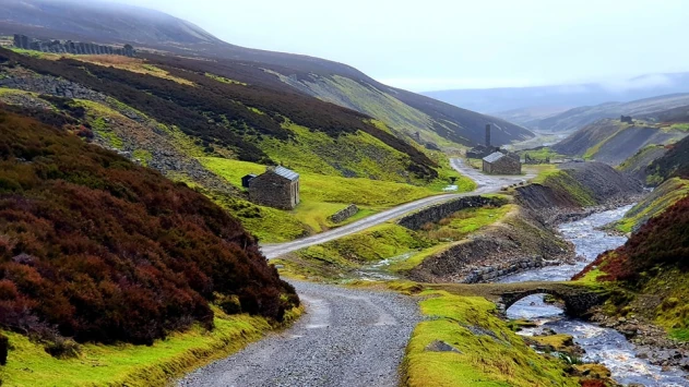 This weekends walk 14 pic 1