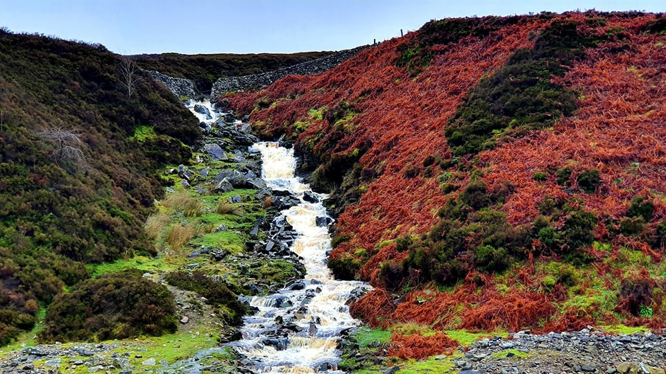 This weekends walk 14 pic 12