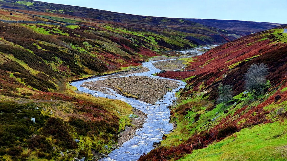 This weekends walk 14 pic 2