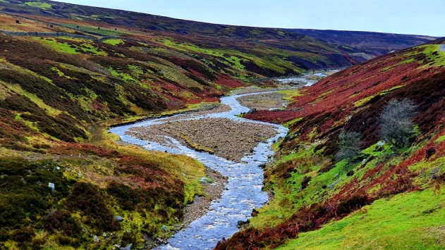 This weekends walk 14 pic 2