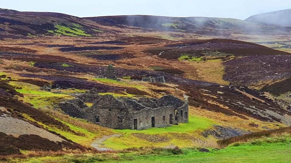 This weekends walk 14 pic 3