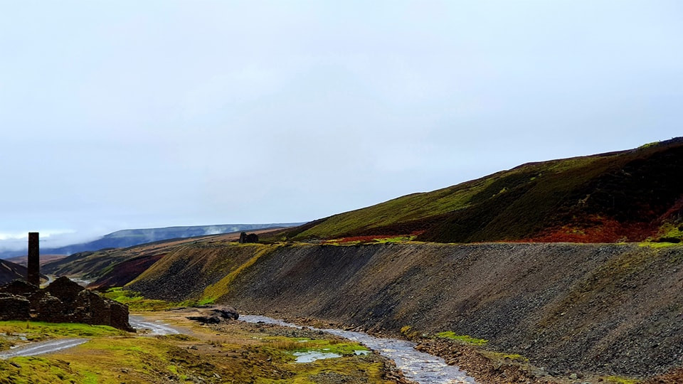 This weekends walk 14 pic 4