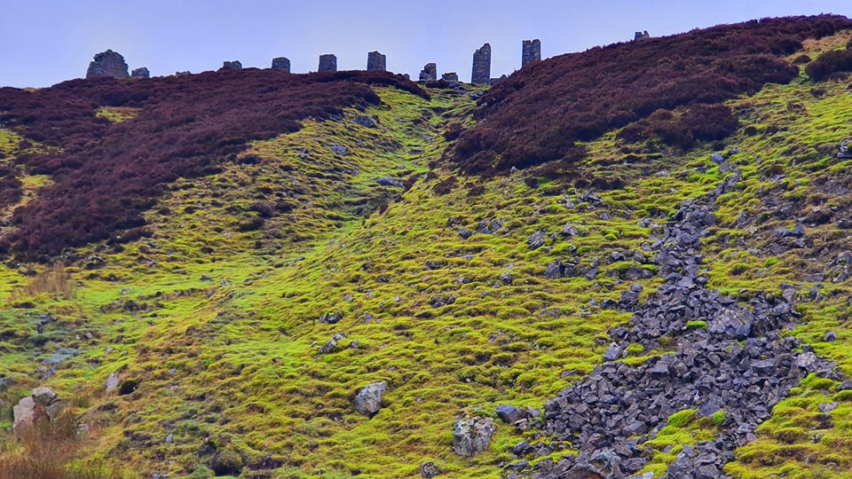 This weekends walk 14 pic 6