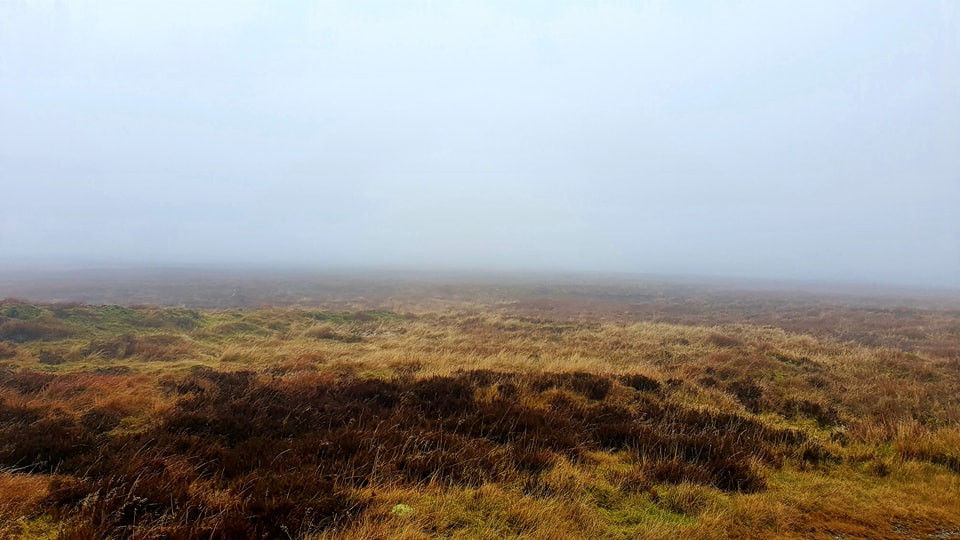 This weekends walk 14 pic 8