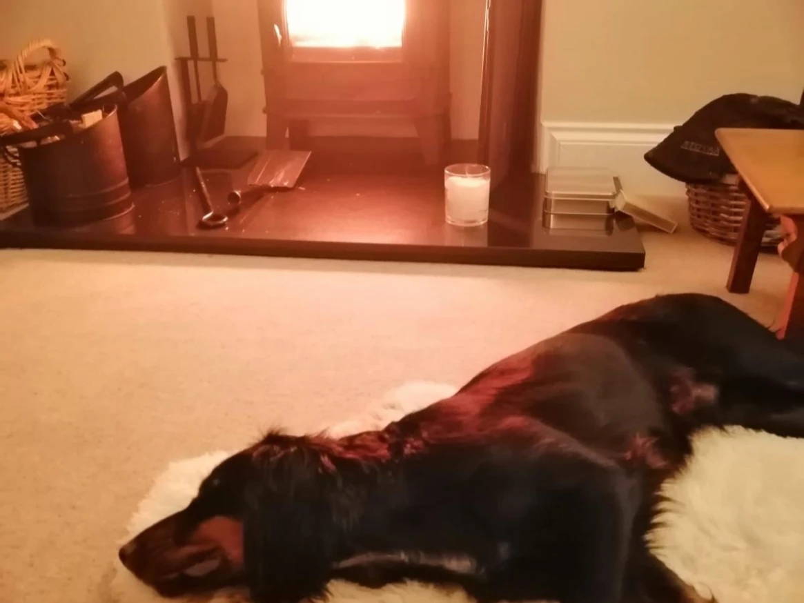 9dcb9266 022d 4a1a 896f 8b100f293008