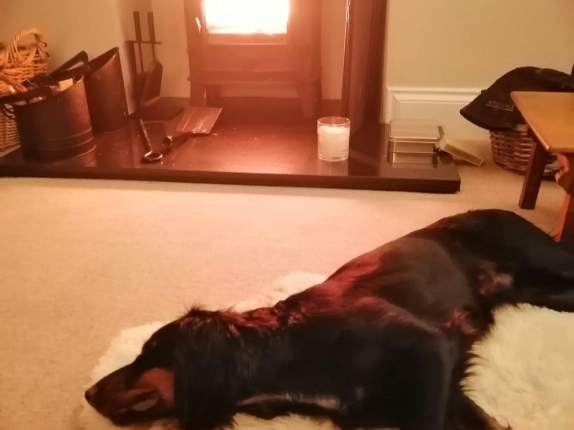 9dcb9266 022d 4a1a 896f 8b100f293008