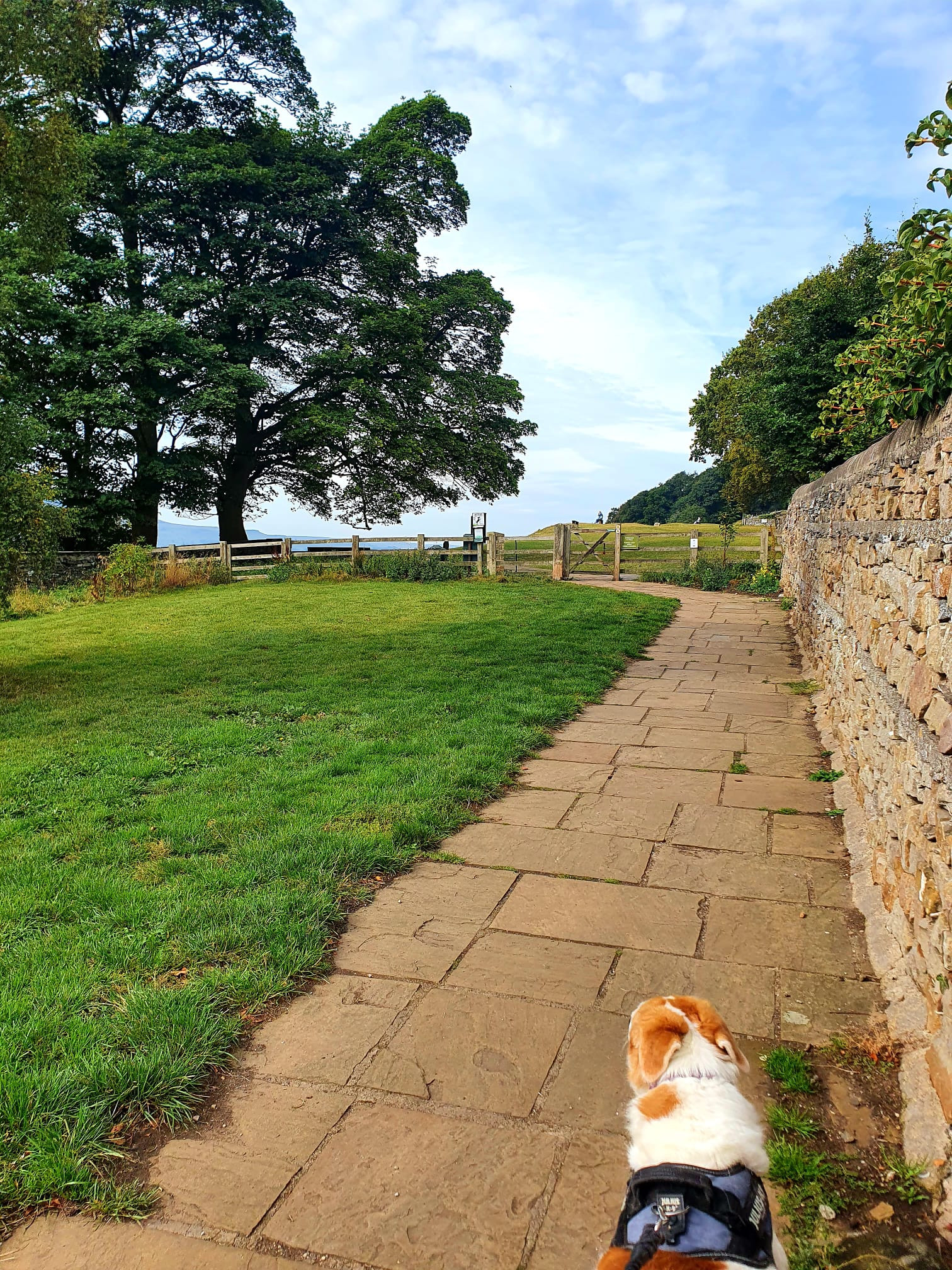 WhatsApp Image 2025 11 02 at 13.38.45