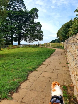 WhatsApp Image 2025 11 02 at 13.38.45