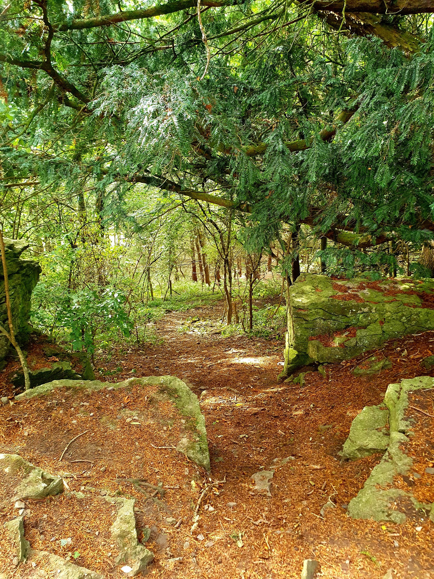 WhatsApp Image 2025 11 02 at 13.38.46