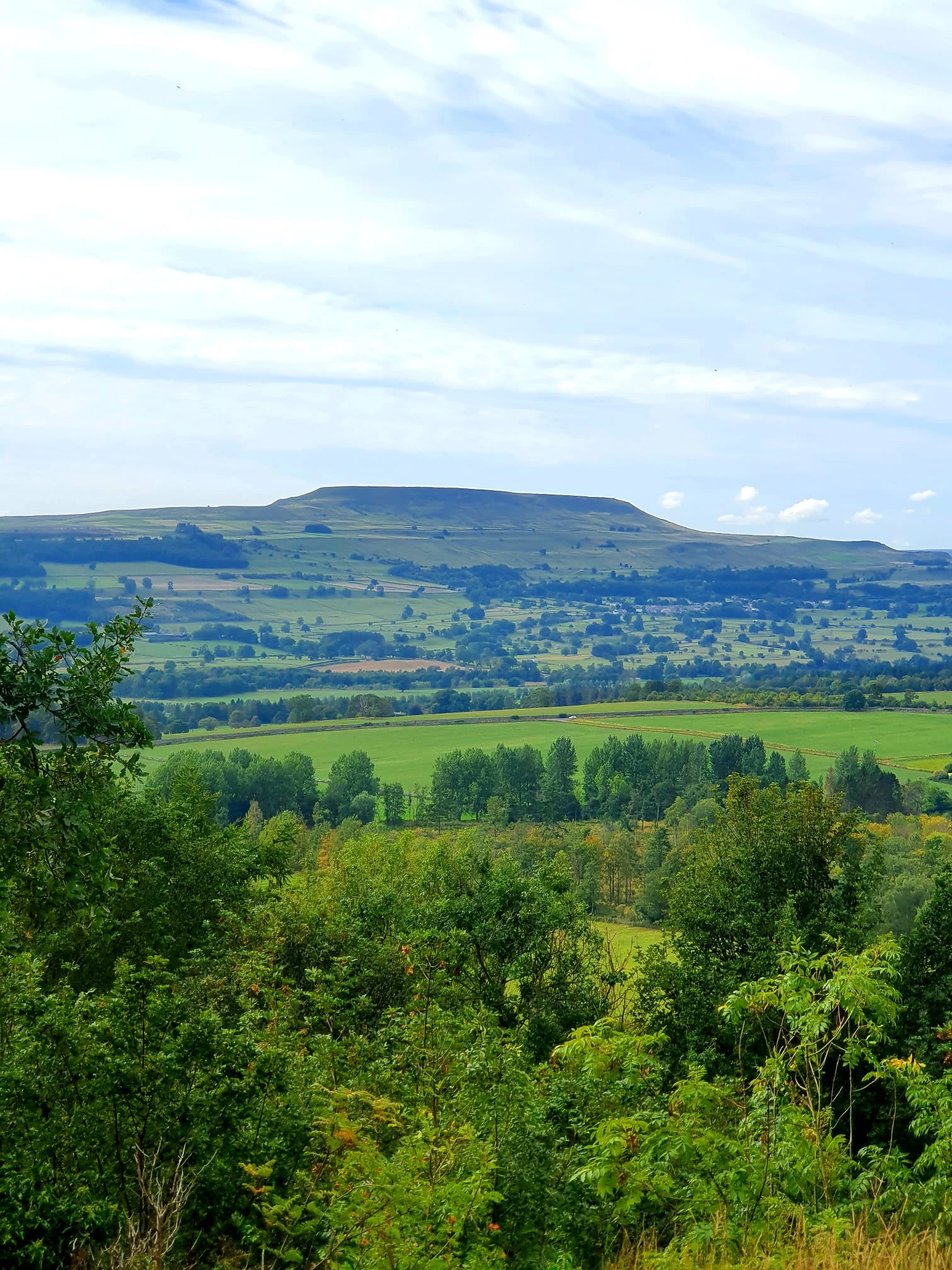 This Weekend's Walk #29 07.09.25