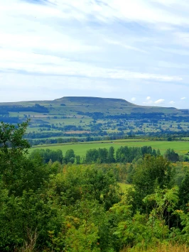 WhatsApp Image 2025 11 02 at 13.38.47 (1)