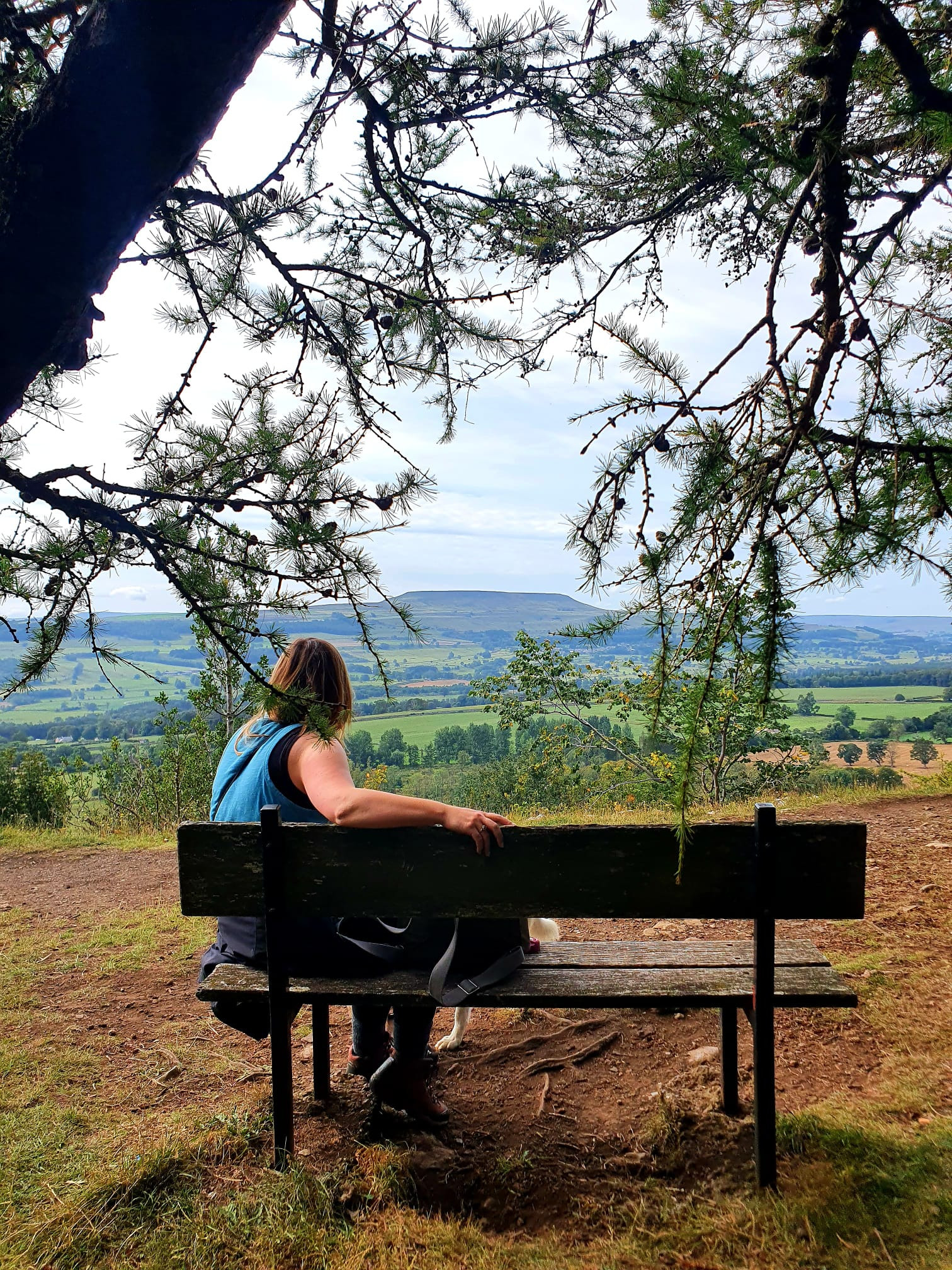 WhatsApp Image 2025 11 02 at 13.38.47 (2)