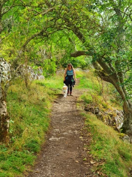 WhatsApp Image 2025 11 02 at 13.38.47 (3)