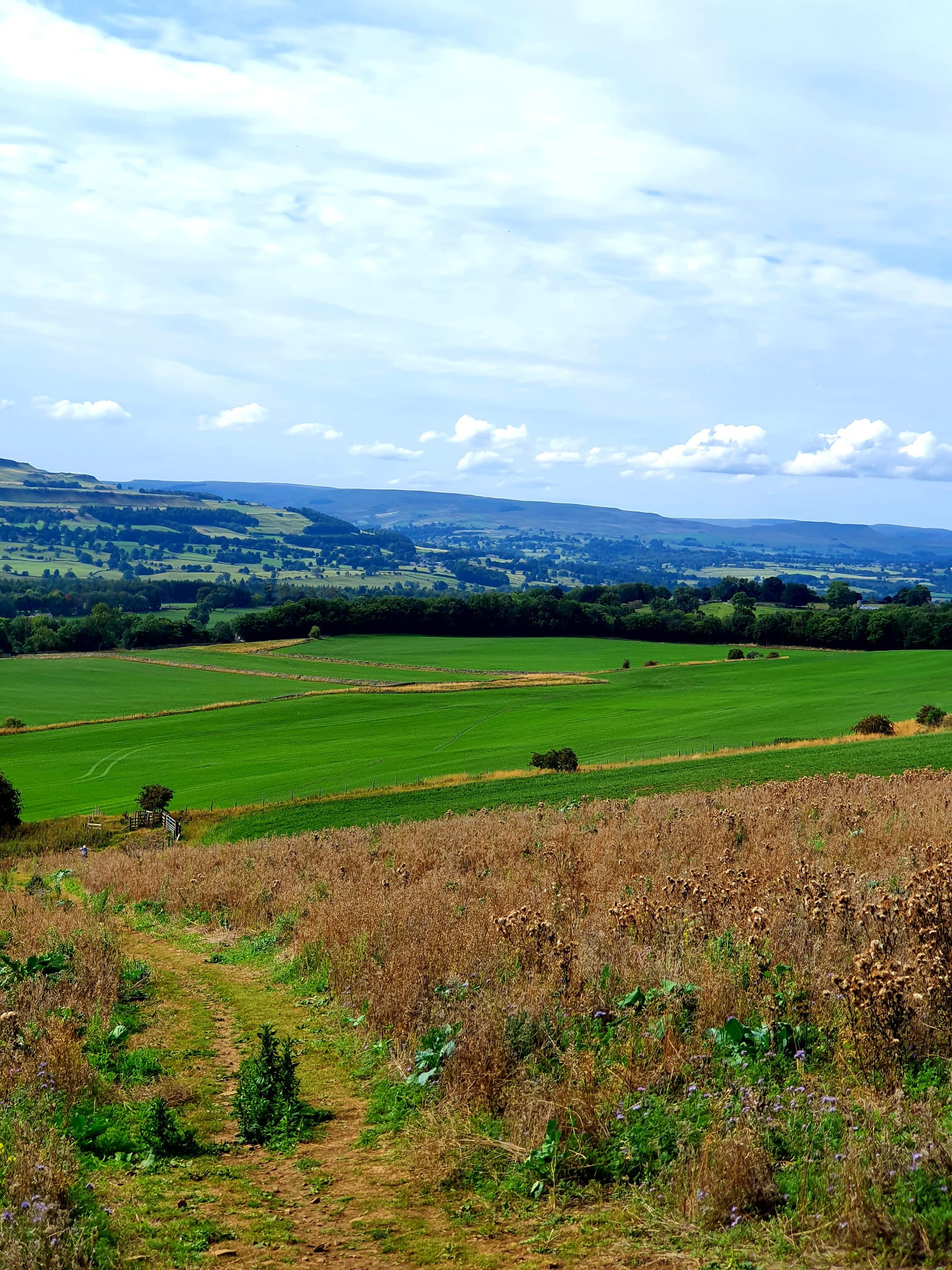 WhatsApp Image 2025 11 02 at 13.38.47 (4)