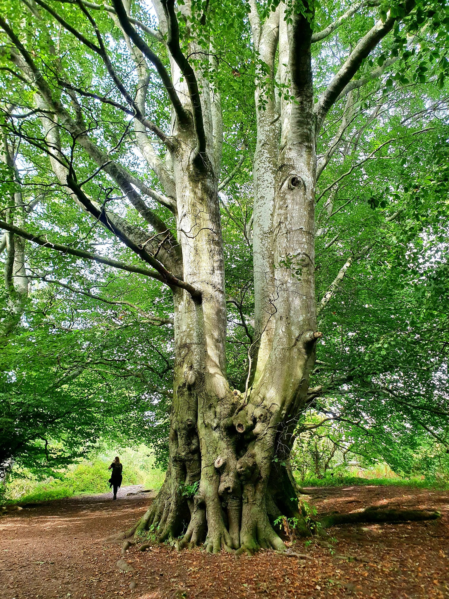 WhatsApp Image 2025 11 02 at 13.38.47