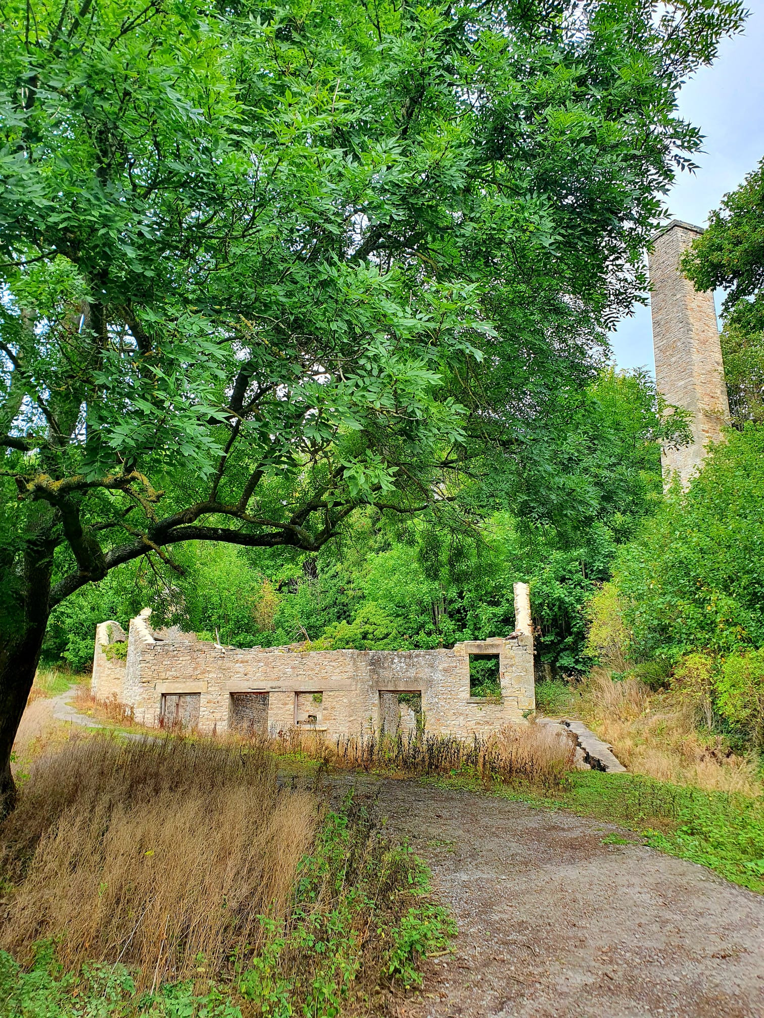 WhatsApp Image 2025 11 02 at 13.38.48 (2)