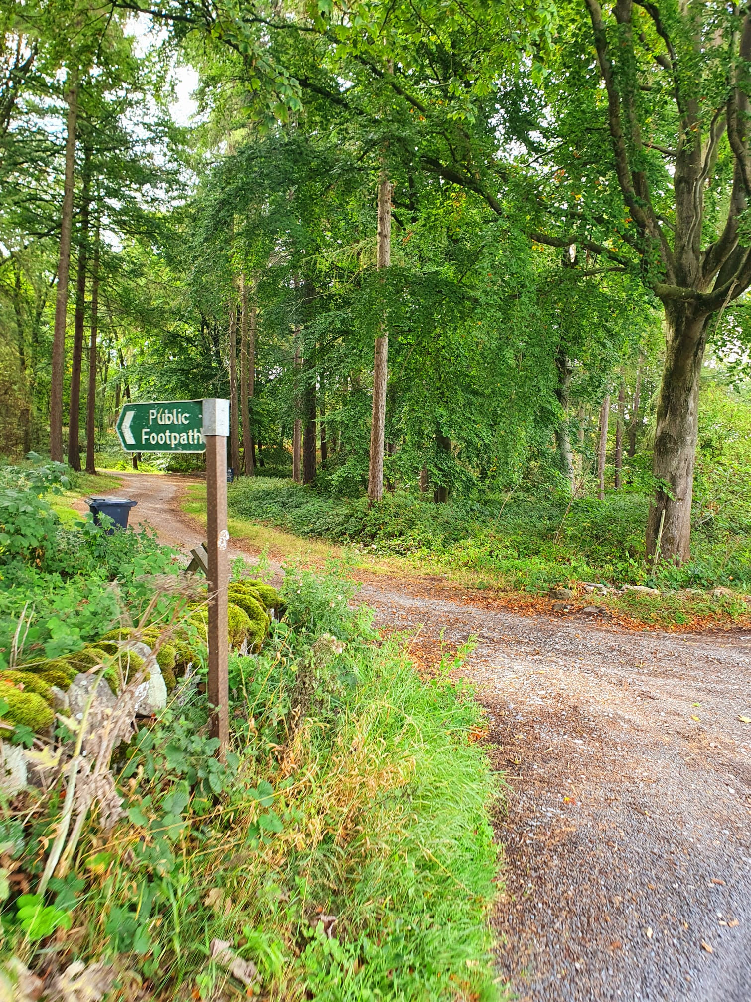 WhatsApp Image 2025 11 02 at 13.38.48 (4)