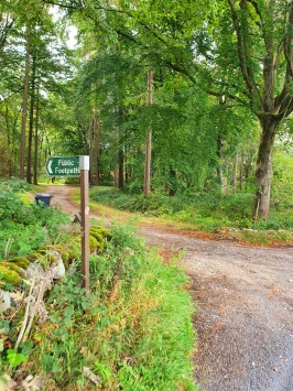 WhatsApp Image 2025 11 02 at 13.38.48 (4)