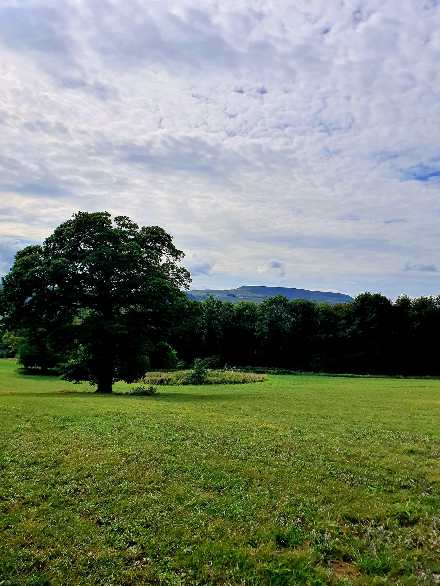 WhatsApp Image 2025 11 02 at 13.38.48 (5)