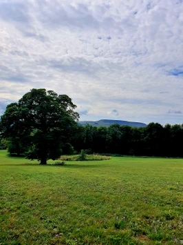 WhatsApp Image 2025 11 02 at 13.38.48 (5)