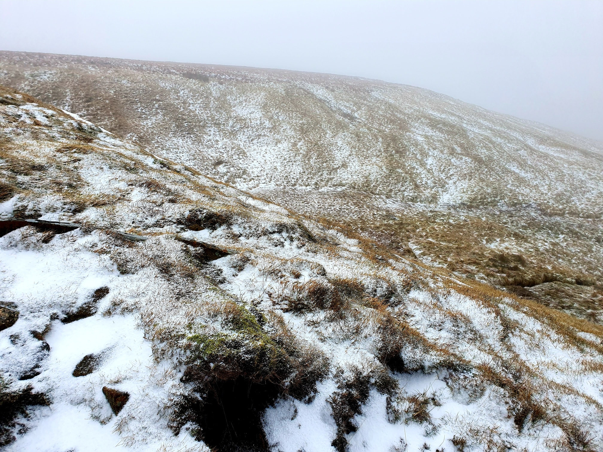 This weekends walk 3 pic 10