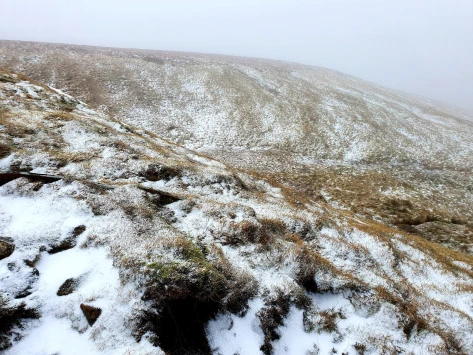 This weekends walk 3 pic 10