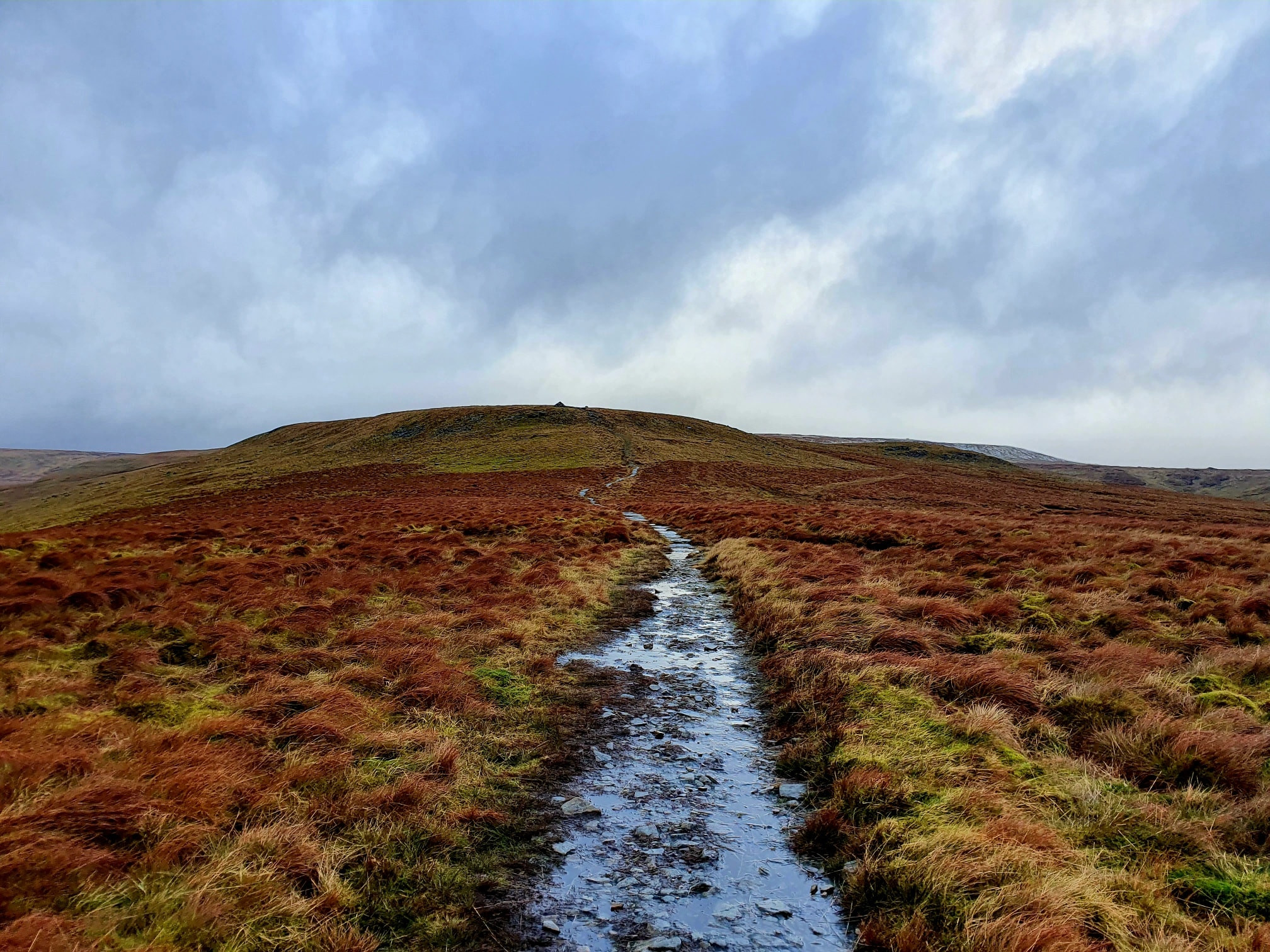 This weekends walk 3 pic 2