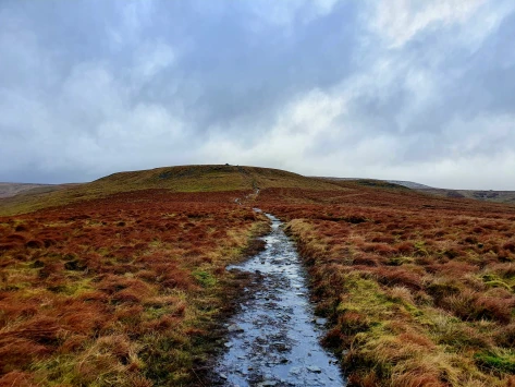 This weekends walk 3 pic 2