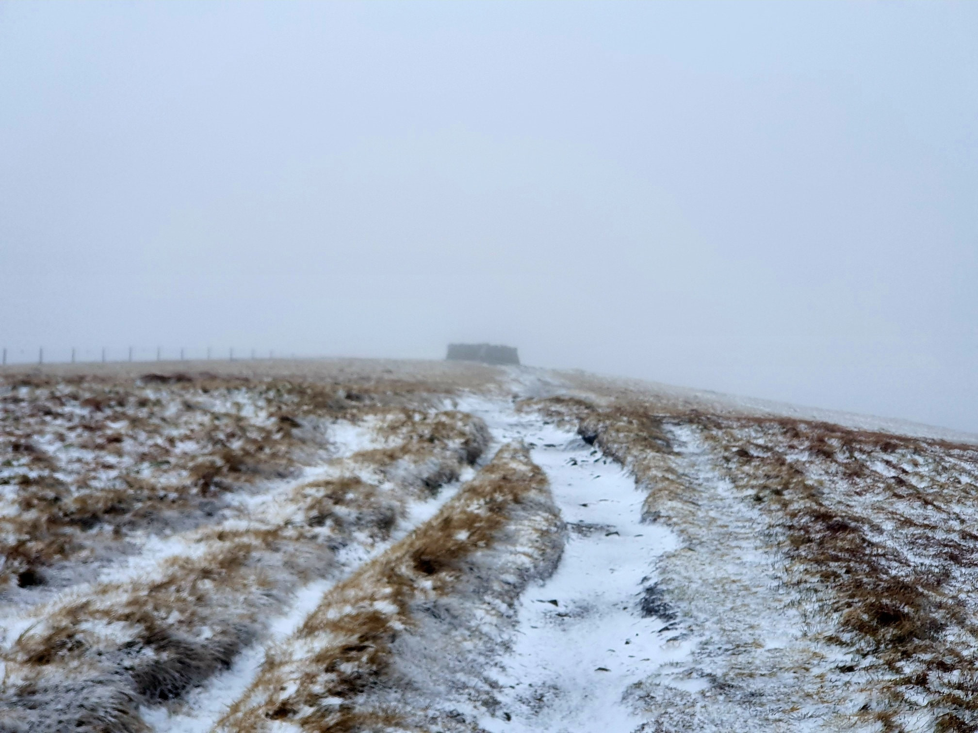 This weekends walk 3 pic 3