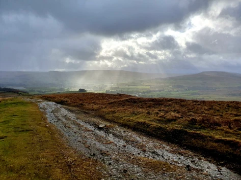 This weekends walk 3 pic 4