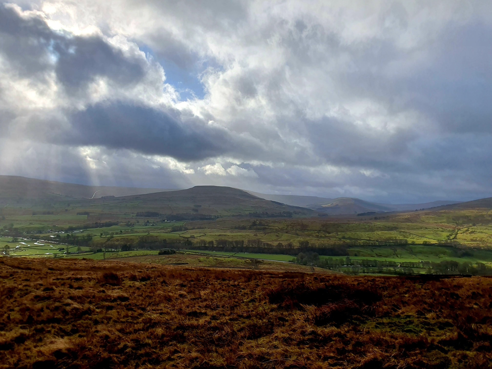 This weekends walk 3 pic 5