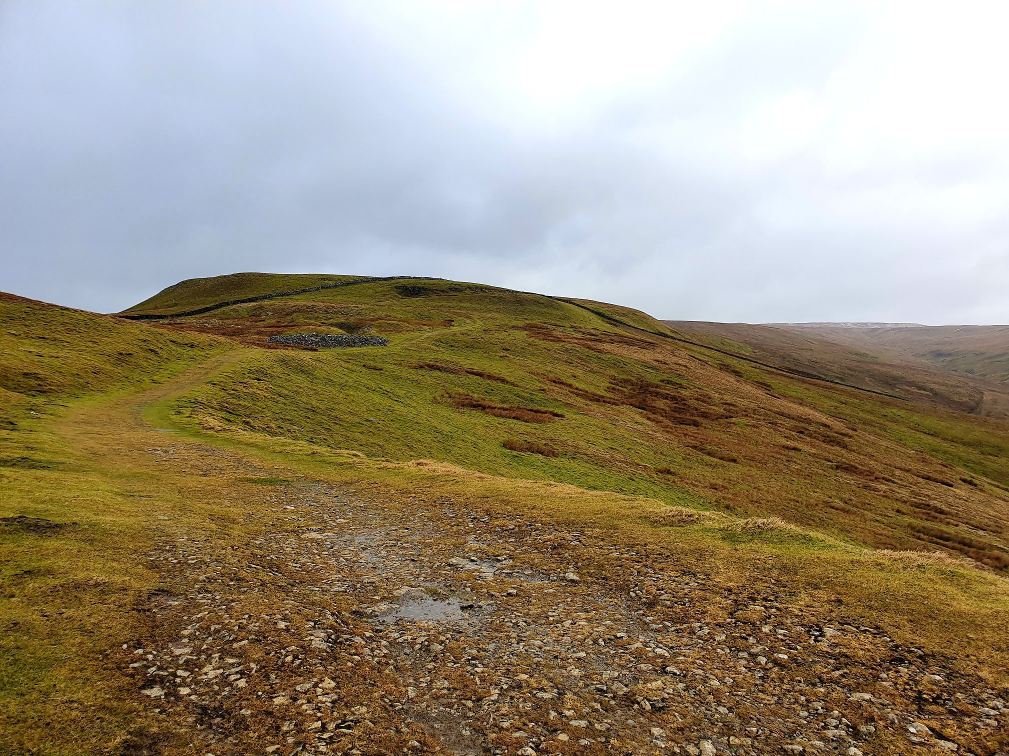 This weekends walk 3 pic 6