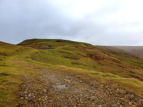 This weekends walk 3 pic 6