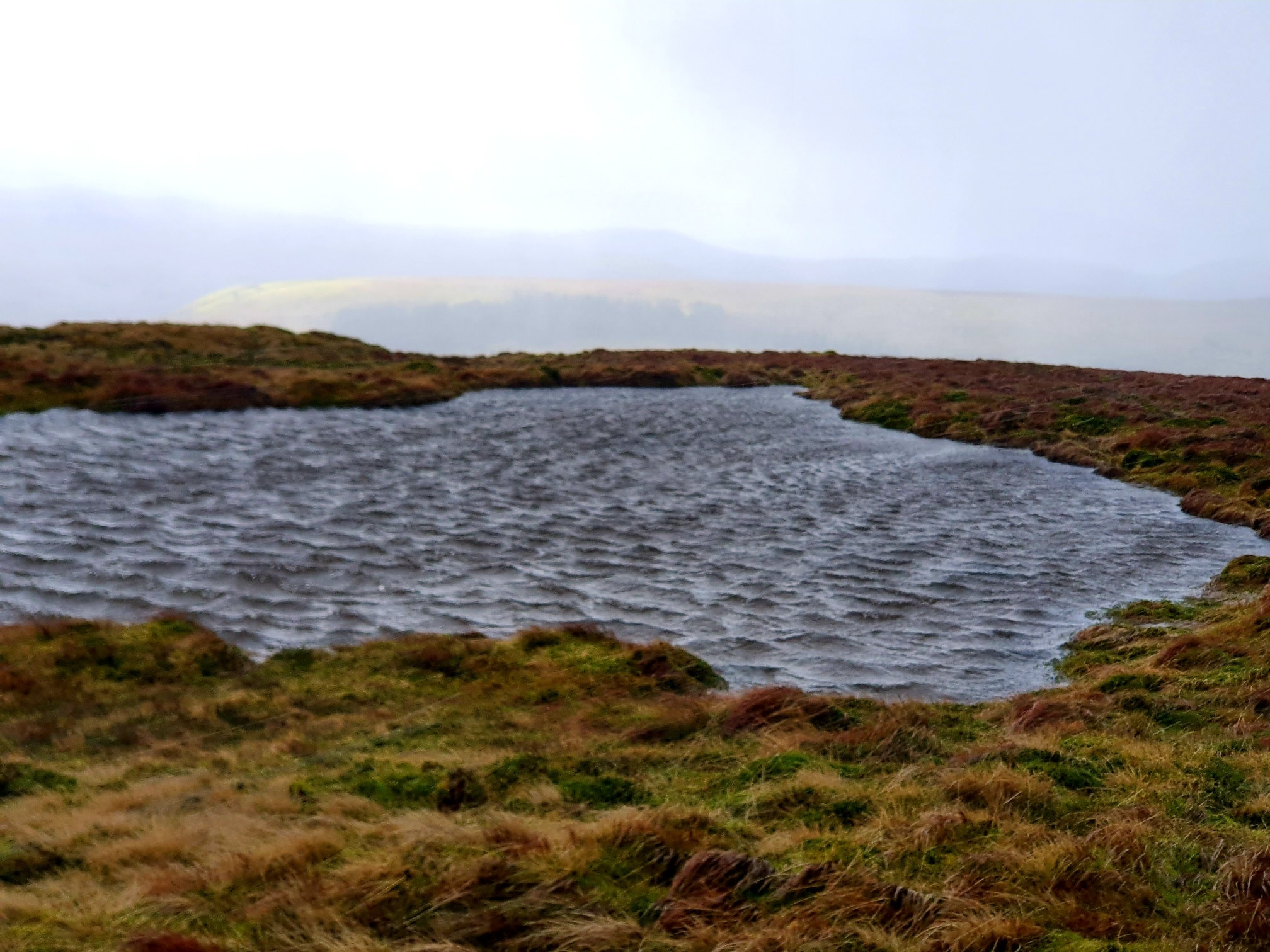 This weekends walk 3 pic 8