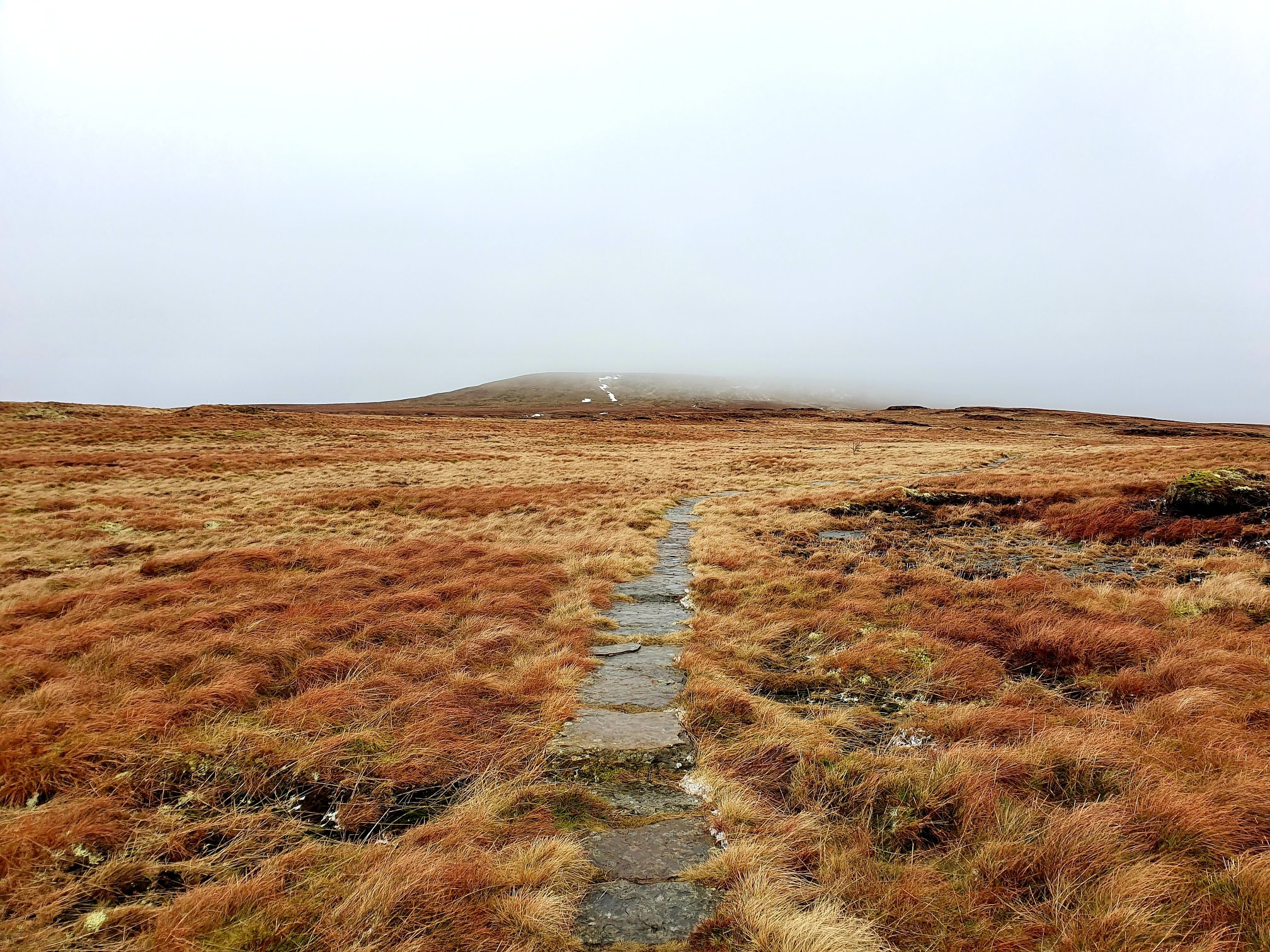 This weekends walk 3 pic 9