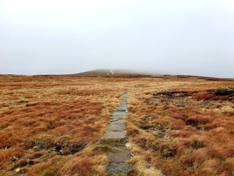 This weekends walk 3 pic 9