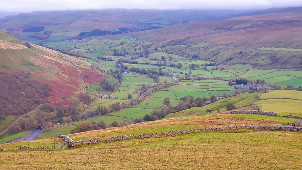 This weekends walk 11 pic 1