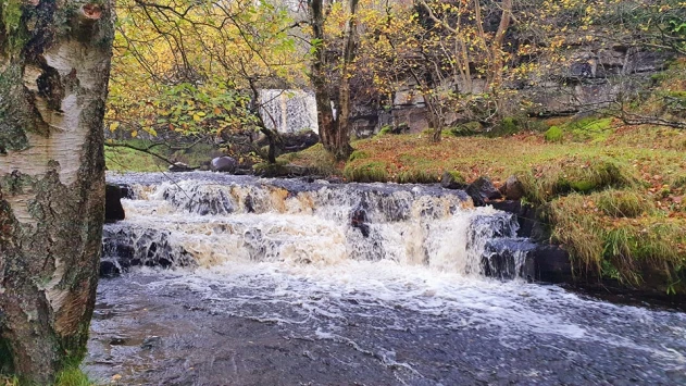 This weekends walk 11 pic 3