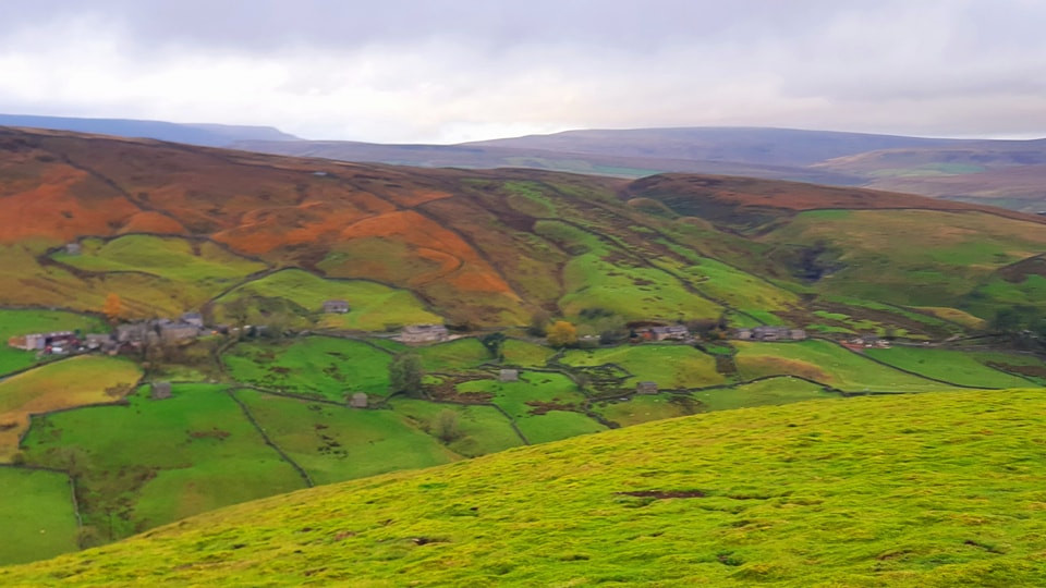 This weekends walk 11 pic 4