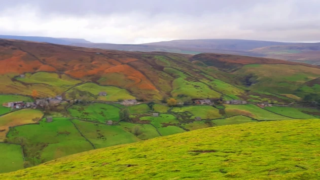 This weekends walk 11 pic 4