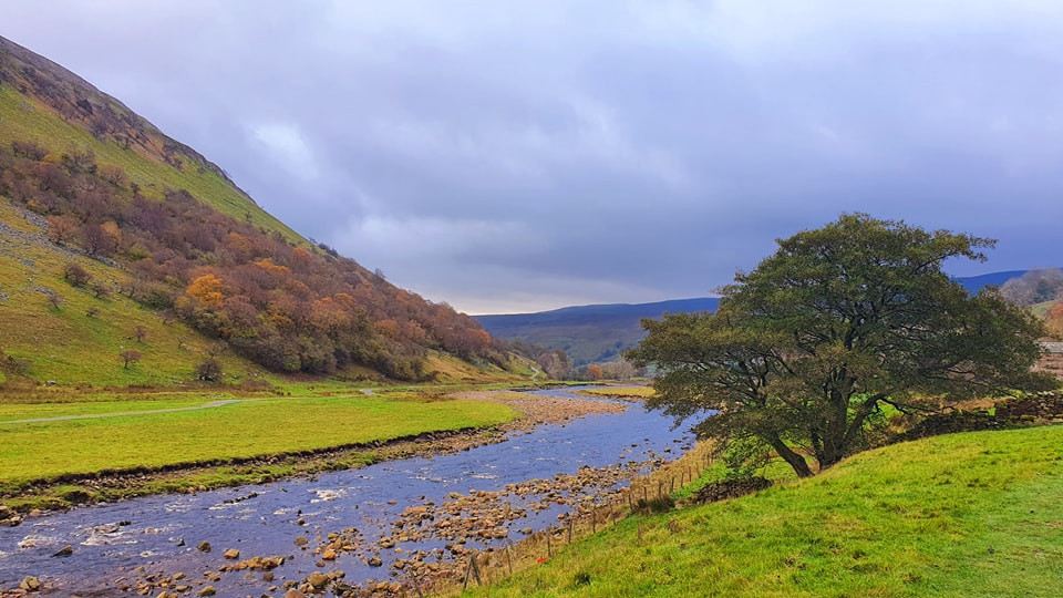 This weekends walk 11 pic 5