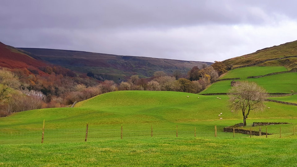 This weekends walk 11 pic 6